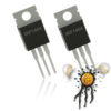 2 pcs. IRF1404 N Channel PWM Mosfet TO-220