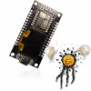 ESP8266 NodeMCU + 2-color 0.96 I2C Display USB-C Socket